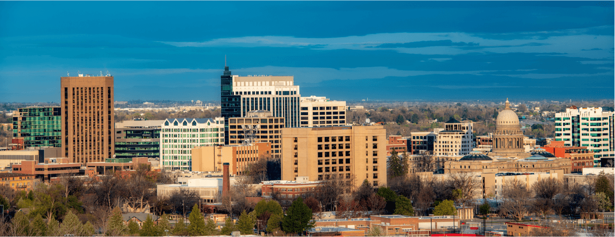 City skyline with various buildings and dome.